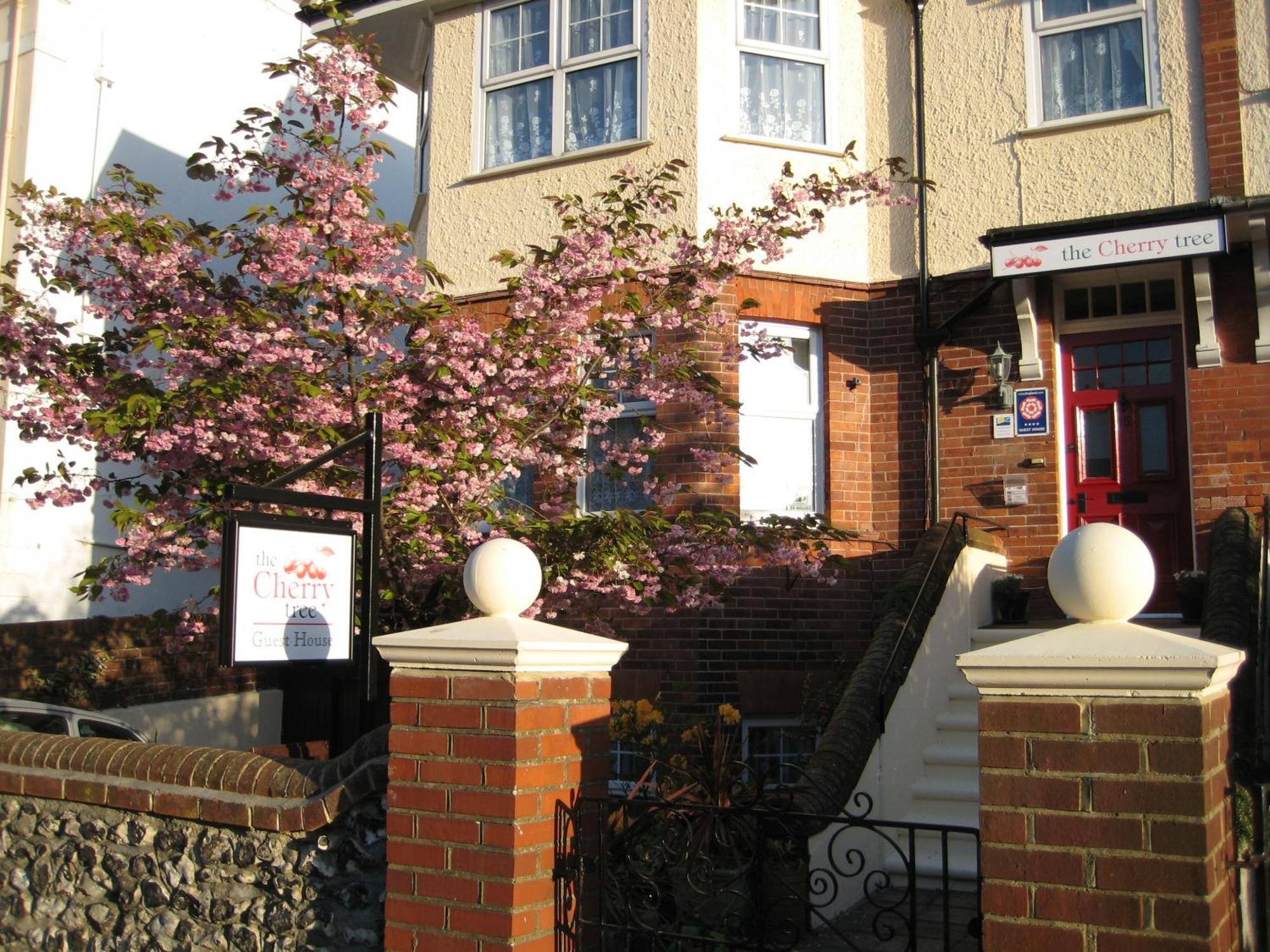 The Cherry Tree Guest House Истборн Екстериор снимка
