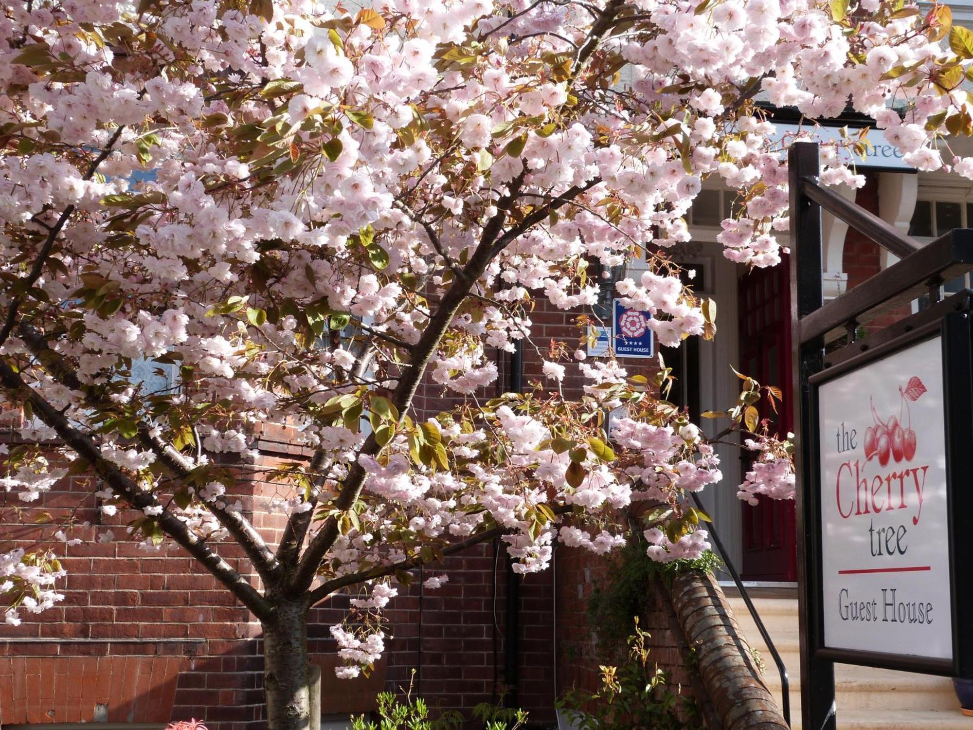 The Cherry Tree Guest House Истборн Екстериор снимка